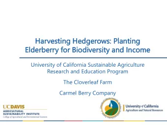 Har  arves  esting  ting Hedger  dgerows:  ows: Planting  anting  Elde  derberr  rberry  y for  or