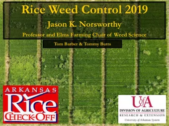 Rice Weed Control 2019  Jason K. Norsworthy  Professor and Elms Farming Chair of  Weed Science  Tom