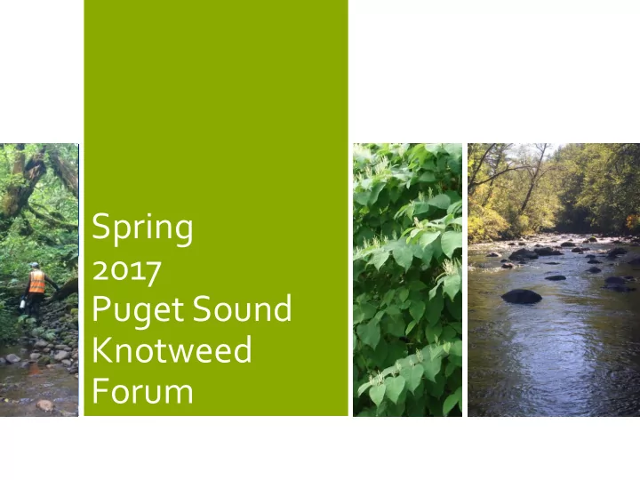spring