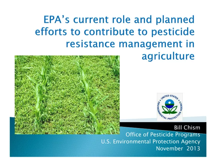 bill chism office of pesticide programs u s environmental