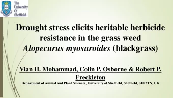 resistance in the grass weed Alopecurus myosuroides (blackgrass)  Vian H. Mohammad, Colin P.