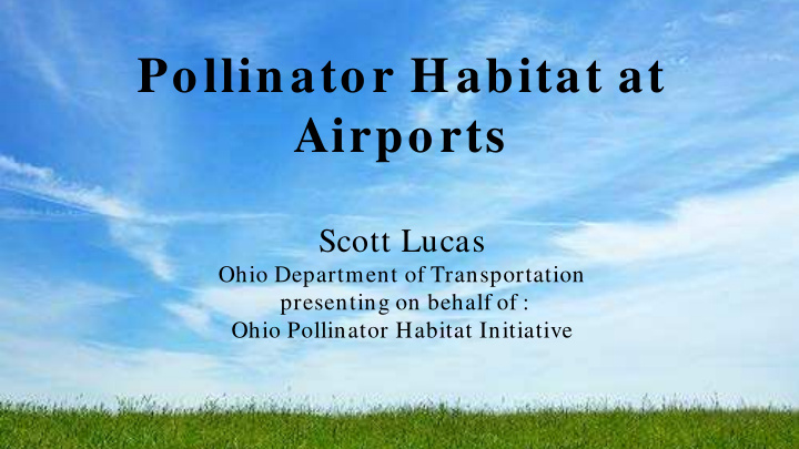 pollinator habitat at airports