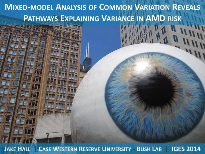 p athways e xplaining v ariance in amd risk