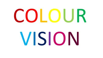 VISION  Why lemurs?  Activity  Intact opsins  pattern  (            * )  (unknown about others) ( *