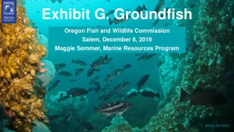Exhibit G. Groundfish  Oregon Fish and Wildlife Commission  Salem, December 6, 2019  Maggie Sommer,