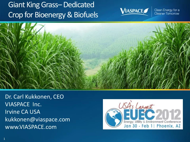 crop for bioenergy amp biofuels