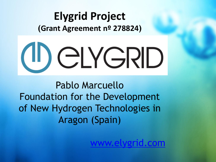 elygrid project