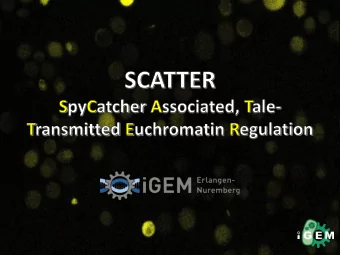 modulated by histone modifications  modifications are catalyzed by enzymes  alterations