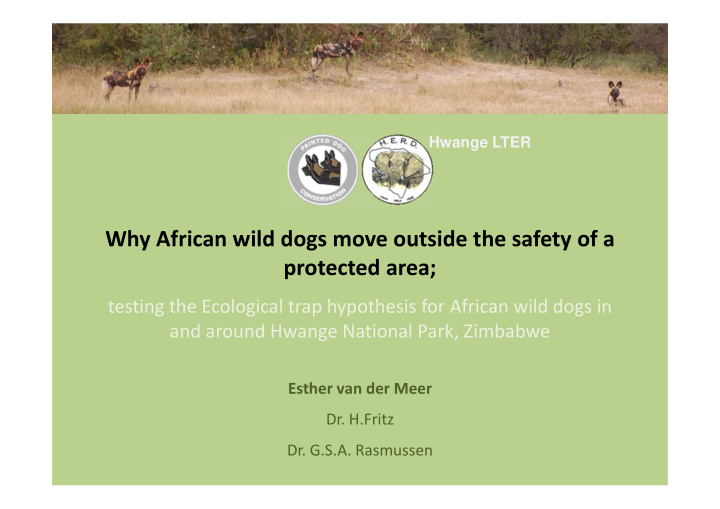 why african wild dogs move outside the safety of a