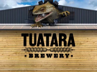 What if it goes right?!    NZs design DNA   - What we know now - what we have but dont