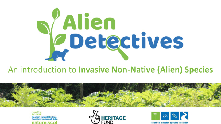 an introduction to invasive non native alien species