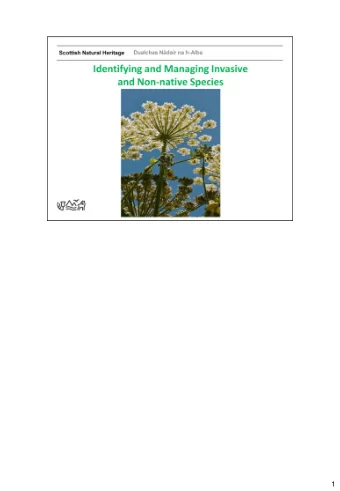 1  2  Himalayan Balsam - Out-competes native species in ecologically sensitive areas,  particularly