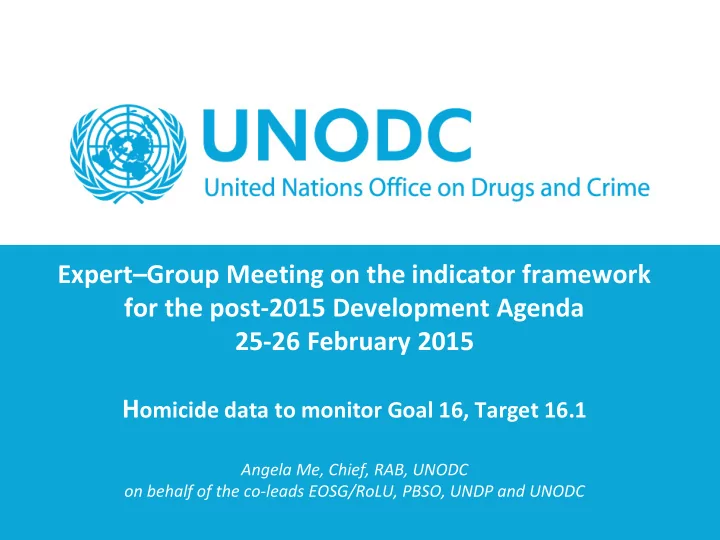expert group meeting on the indicator framework