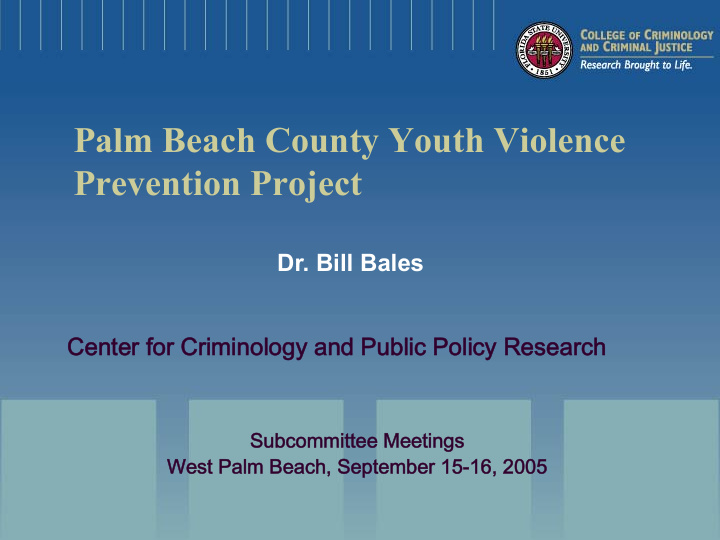 palm beach county youth violence prevention project