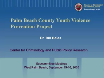 Palm Beach County Youth Violence  Prevention Project  Dr. Bill Bales  Center for Criminology and