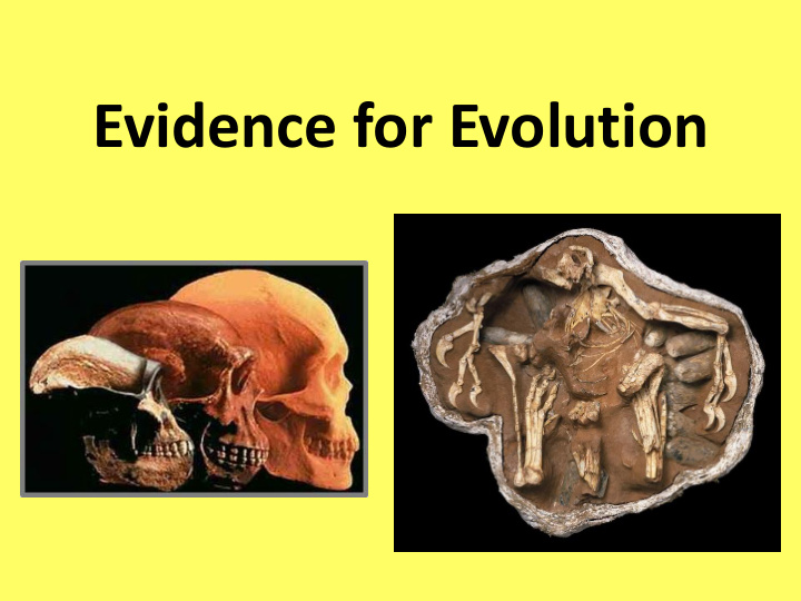evidence for evolution scientific evidence of biological