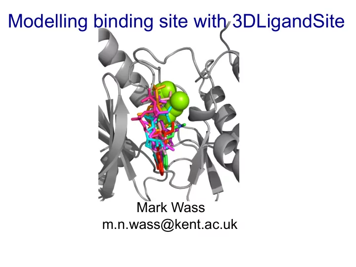 modelling binding site with 3dligandsite