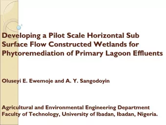 Developing a Pilot Scale Horizontal Sub  Developing a Pilot Scale Horizontal Sub  Surface Flow