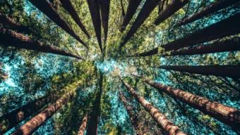 NO WORDS....  please use this image (turn  horizontal?):