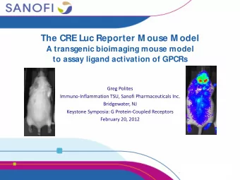 The CRE Luc Reporter M ouse M odel  A transgenic bioimaging mouse model  to assay ligand activation