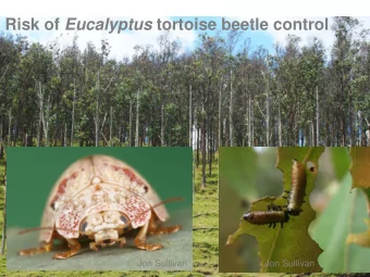 Risk of Eucalyptus tortoise beetle control  Jon Sullivan  Jon Sullivan  Biology of the pest in NZ