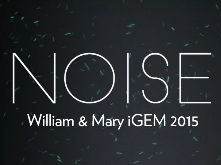 what is noise