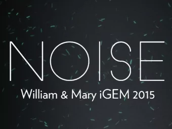 What is noise?  Fluorescence    Fluorescence    Time    Time    Dual-Reporter System  A