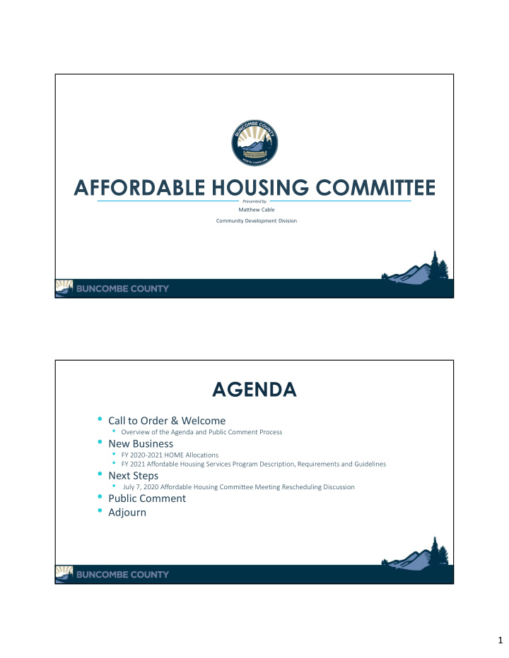 affordable housing committee