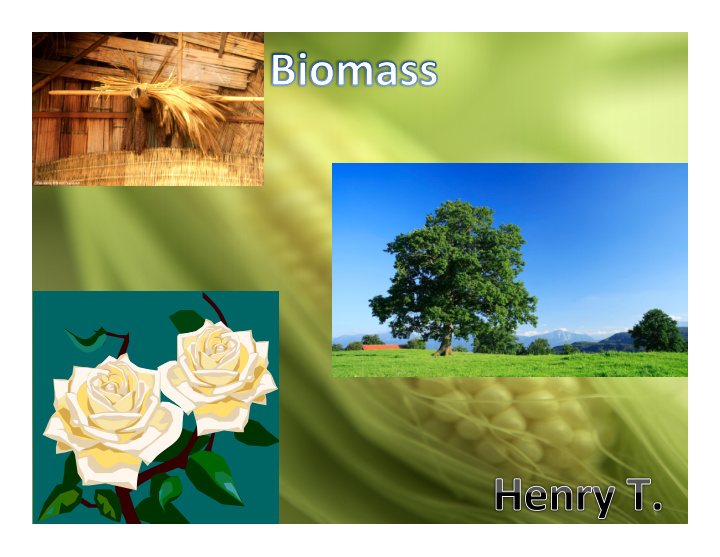 what is biomass how is biomass formed pros cons
