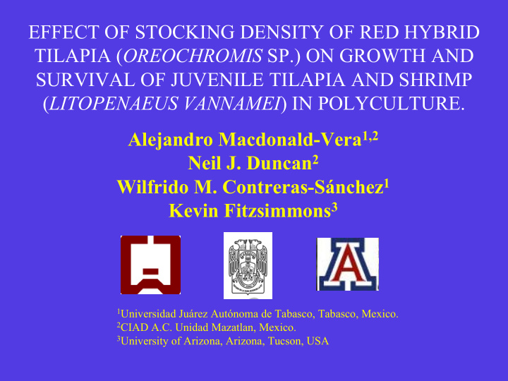effect of stocking density of red hybrid tilapia