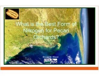 What is the Be  What is the Be  est Form of  est Form of  Nitrogen fo  g  or Pecan  Orchar  rds?