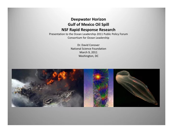 deepwater horizon gulf of mexico oil spill nsf rapid
