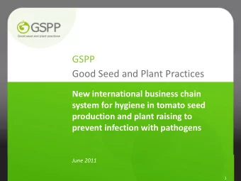 GSPP  Good Seed and Plant Practices  New international business chain  system for hygiene in tomato