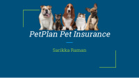 petplan pet insurance