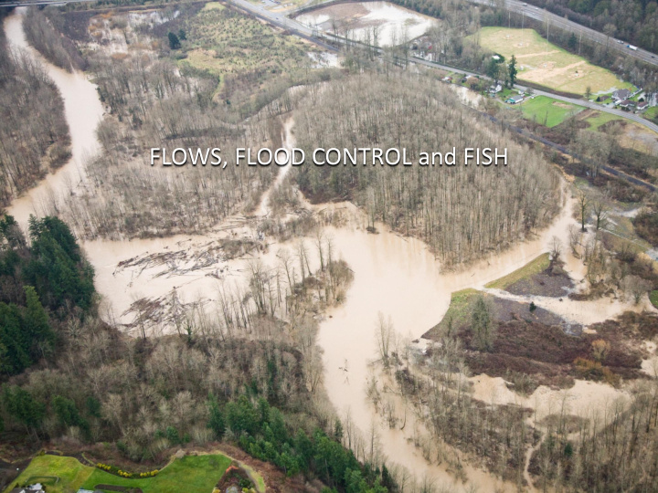 flows flood control and fish overview