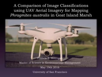 using UAV Aerial Imagery for Mapping Phragmites australis in Goat Island Marsh  Francis S. Hourigan