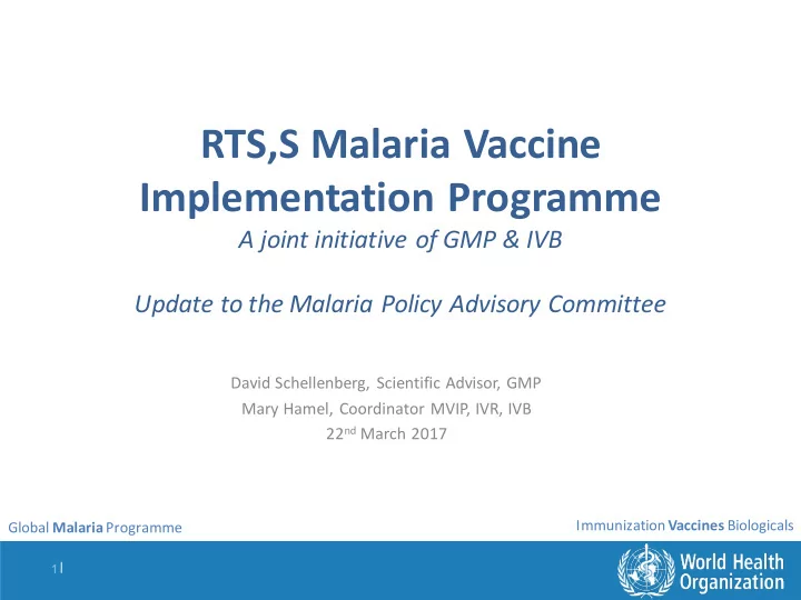 rts s malaria vaccine implementation programme