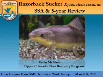 SSA &amp; 5-year Review  Kevin McAbee  Upper Colorado River Recovery Program  Glen Canyon Dam AMP