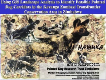 What are Painted Dogs?    What are the conservation challenges?    Painted Dog Research