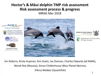Hectors &amp; Mui dolphin TMP risk assessment  Risk assessment process &amp; progress  MRAG