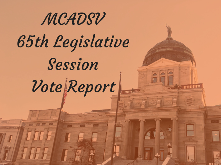 mcadsv 65th legislative session vote report this report