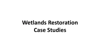 Case Studies  Slovenia: Wetman Project