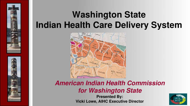 indian health care delivery system