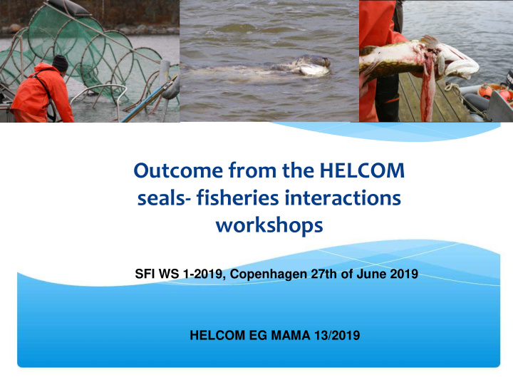 outcome from the helcom seals fisheries interactions