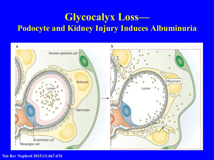 glycocalyx loss