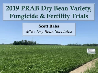 2019 PRAB Dry Bean Variety,  Fungicide &amp; Fertility Trials  Scott Bales  MSU Dry Bean Specialist