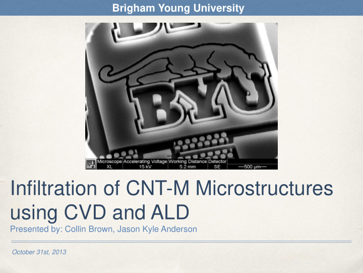 infiltration of cnt m microstructures using cvd and ald