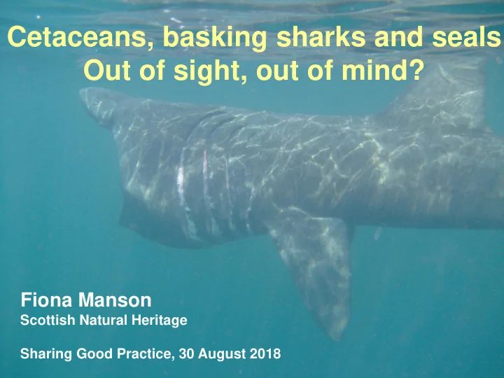 cetaceans basking sharks and seals
