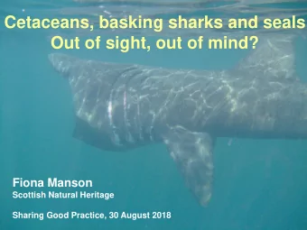Cetaceans, basking sharks and seals  Scottish Natural Heritage  Out of sight, out of mind?  Fiona