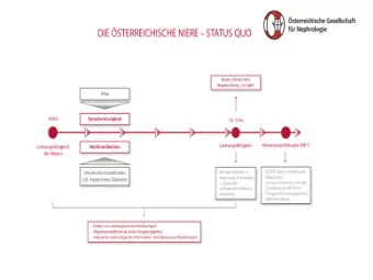 60/20 program   Screening for renal disease in individuals   Age 40-65   With  Diabetes